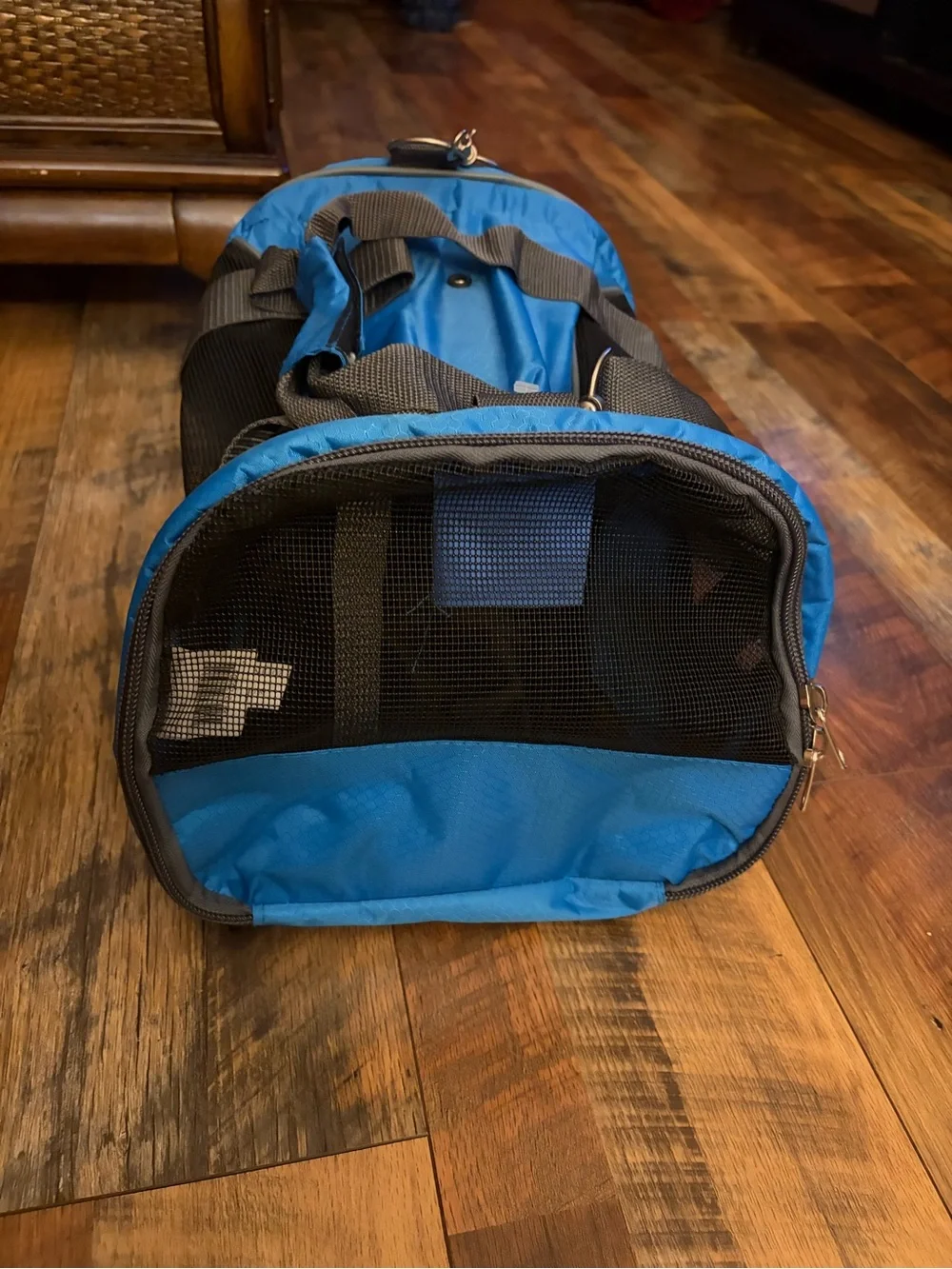 Small animal carrier